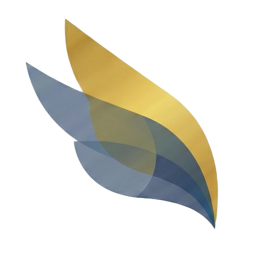 BusinessClassExpert Logo